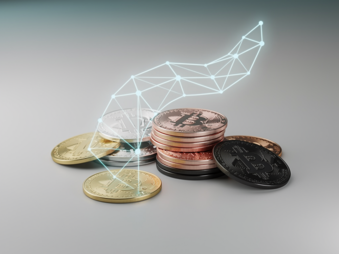 Altcoins Einführung für Einsteiger mit Überblick zu alternativen Kryptowährungen und Technologie