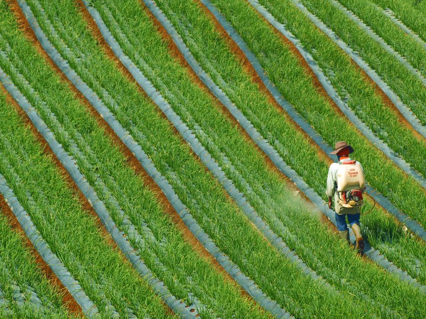 Bayer Aktie nach Gerichtsurteil gestiegen