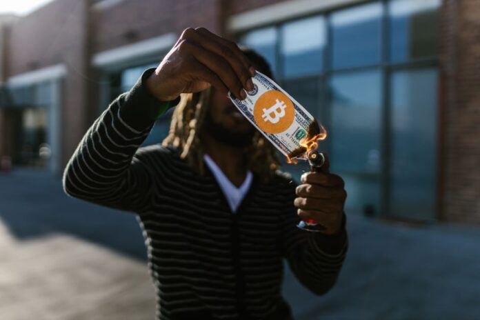Bitcoin Cash: Aktuelle Trends und Verluste