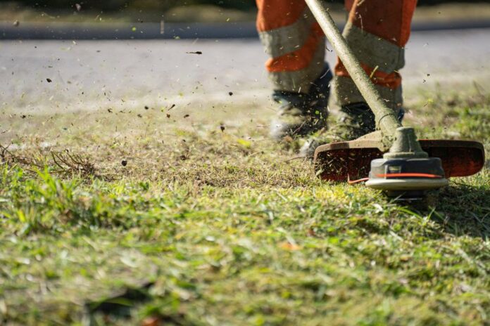 Gartenarbeit: Steuerersparnis nutzen