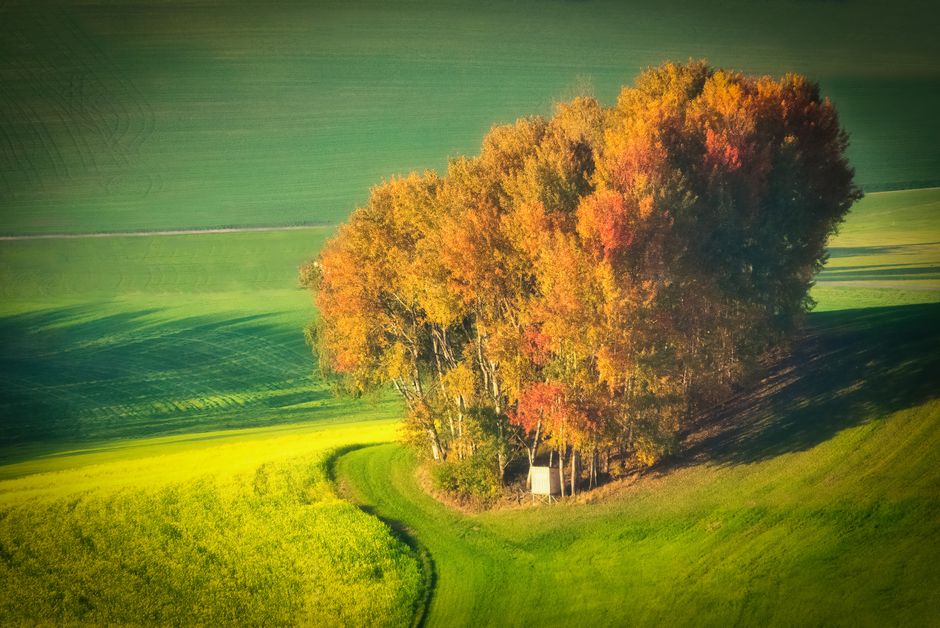 Gepflegtes Haus in Bodnegg im Herbst