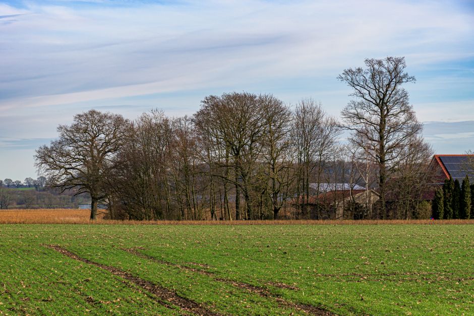 Immobilienwerte in NRW 2026