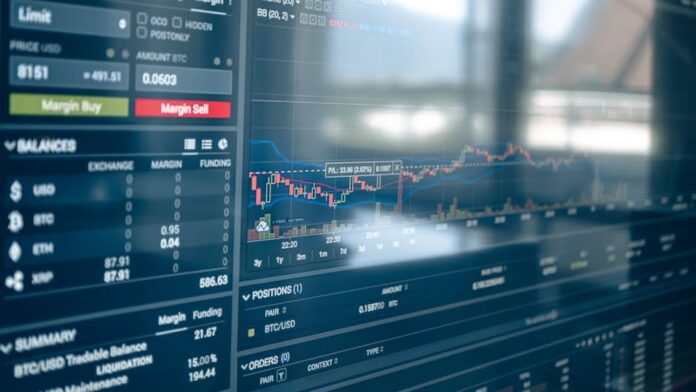 Raoul Pal und die Krypto-Analyse