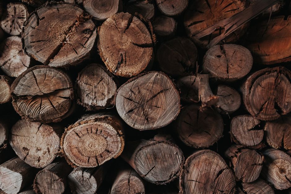 iShares Global Timber & Forestry ETF im Fokus