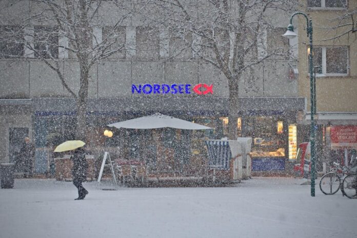 Nordsee-Gutscheine für leckere Meeresfrüchte