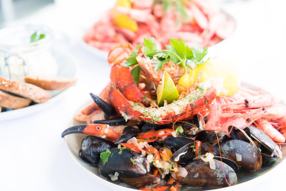 Nordsee-Gutscheine für leckere Meeresfrüchte