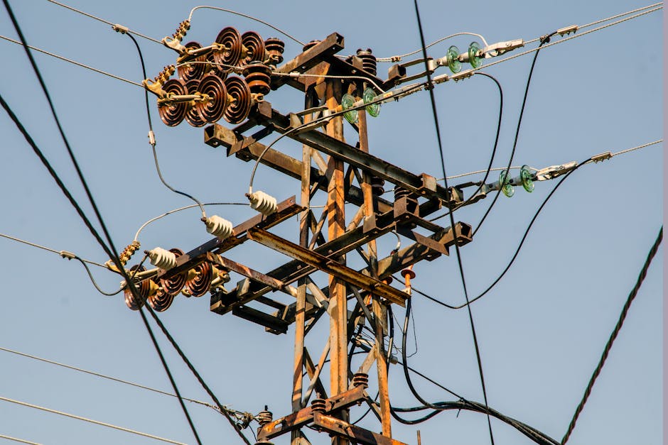 Reform der Netzentgelte und PV-Anlagen