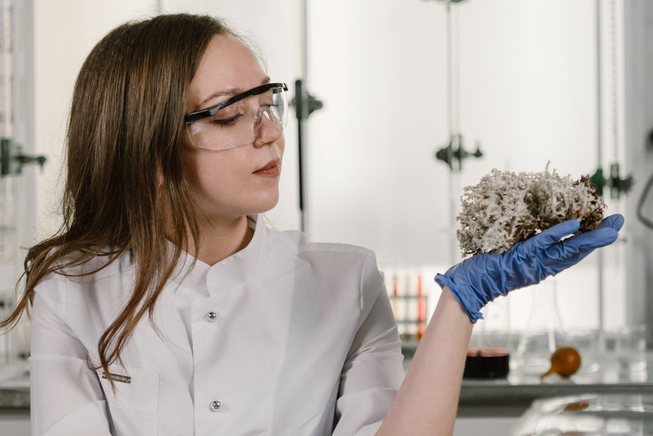 KWS Saat und die Zukunft der Gentechnik
