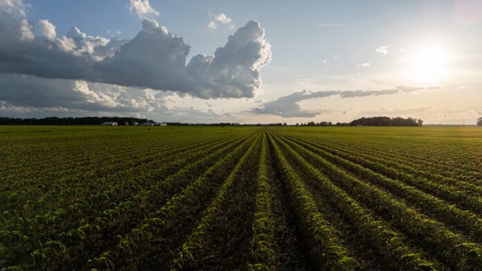 Landwirtschaftliche Soforthilfe der Rentenbank