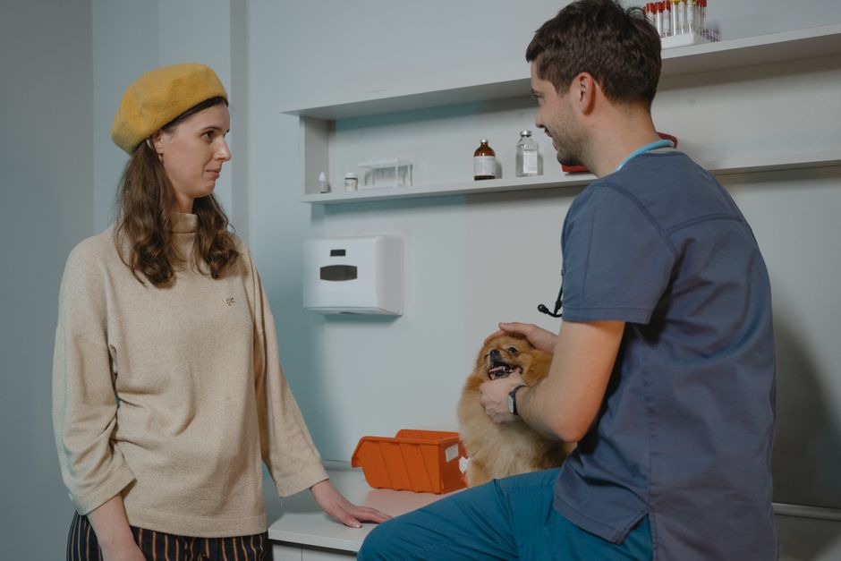 Pets at Home Store und Produkte