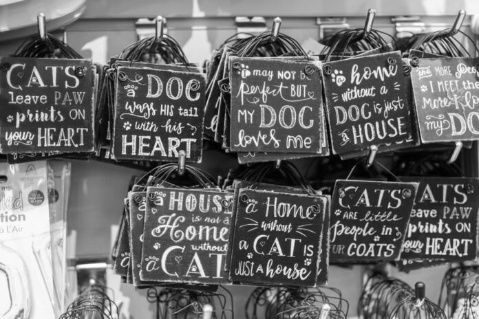 Pets at Home Store und Produkte