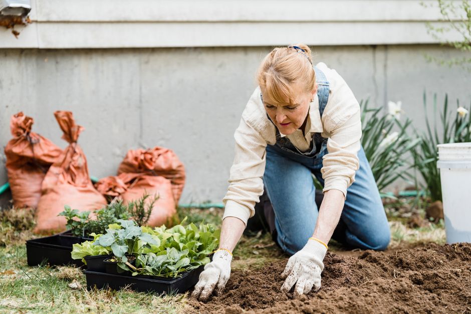 Rentner im Minijob: Neue Chancen ab Juli 2026