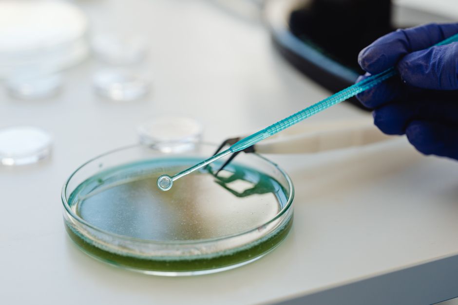 Sartorius Stedim Biotech im Fokus