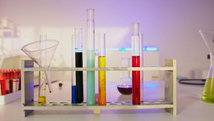 Sartorius Stedim Biotech im Fokus