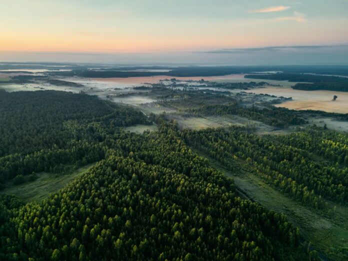 Signalverstärker in Belarus außer Betrieb
