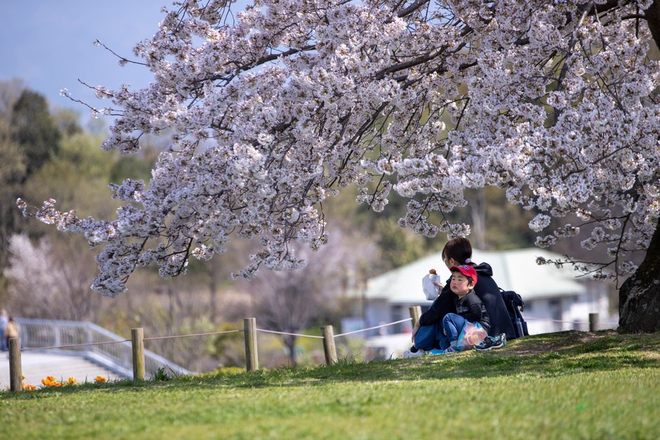 Tokio: Ein neues Paradies für Reisende