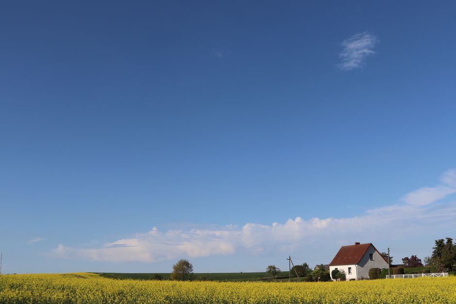 Traumhaftes Einfamilienhaus im Alten Land