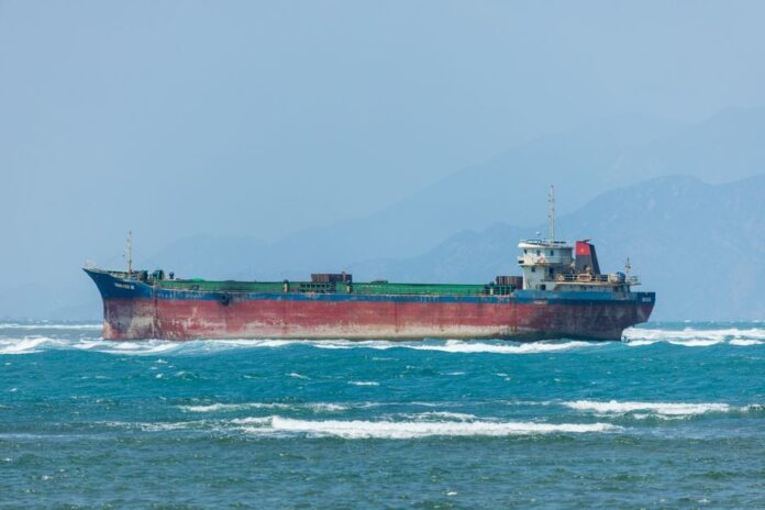 Wallenius Wilhelmsen: Transport auf hoher See