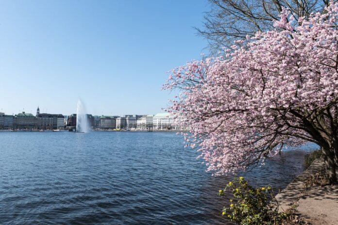 Zinshausmarkt in Hamburg 2026