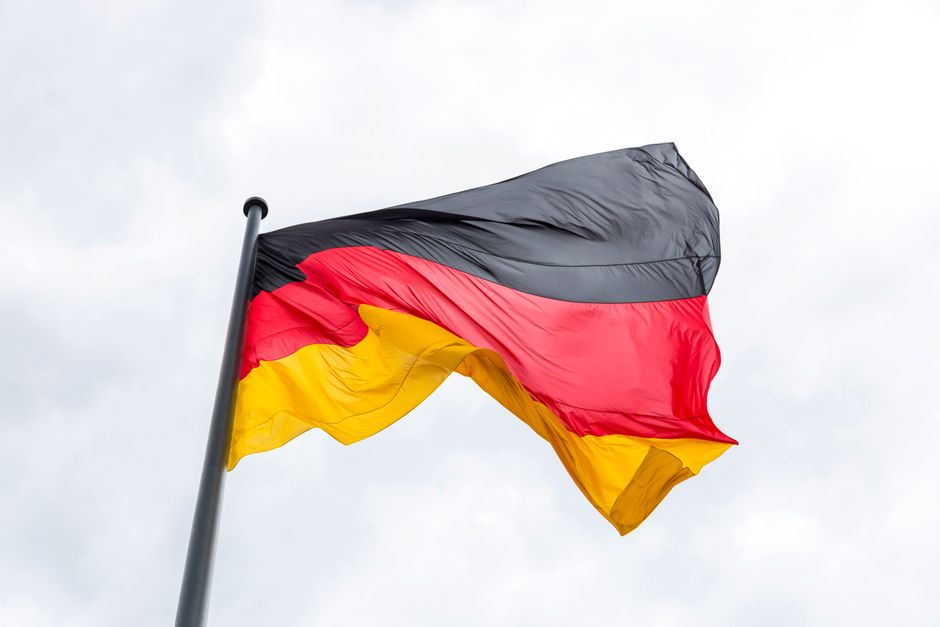 AfD 100-Tage-Programm in Sachsen-Anhalt