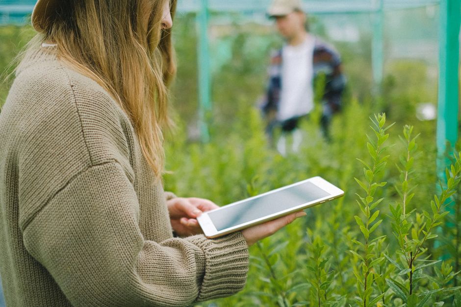 Aktien im Fokus: Unternehmen im Aufschwung