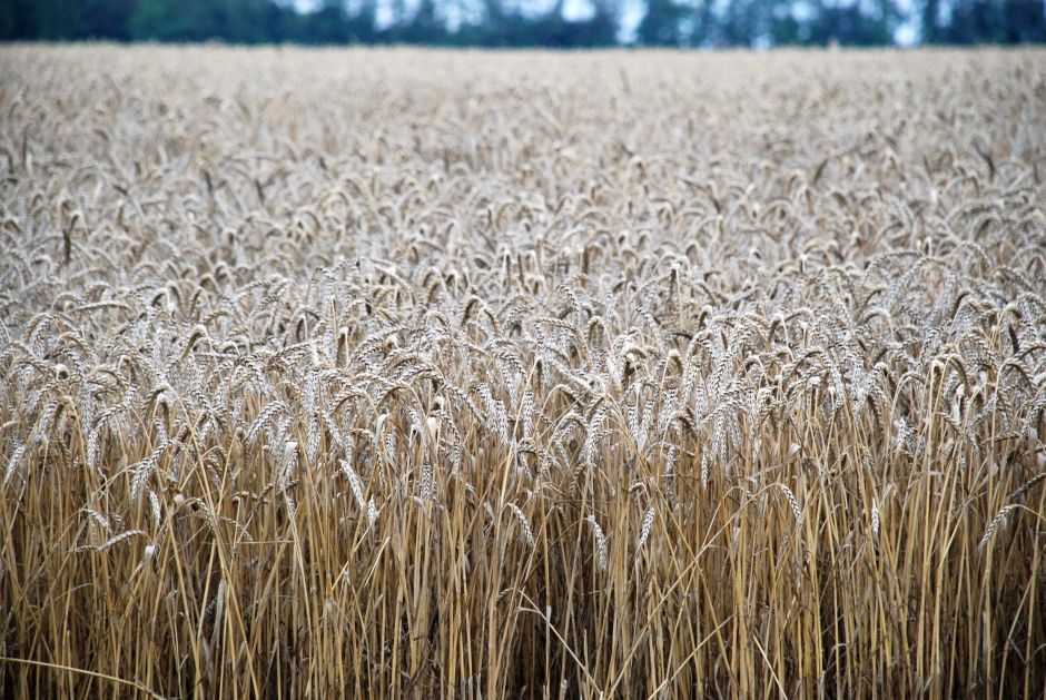 Aktuelle Rohstoffpreise am Abend