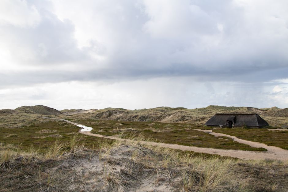 Attraktive Immobilien in Nordfriesland