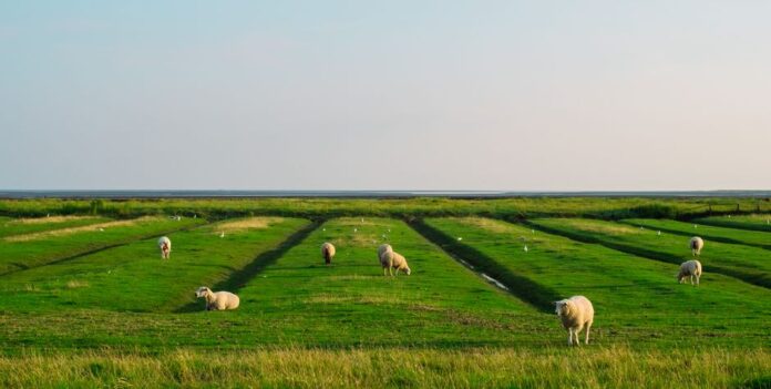 Attraktive Immobilien in Nordfriesland