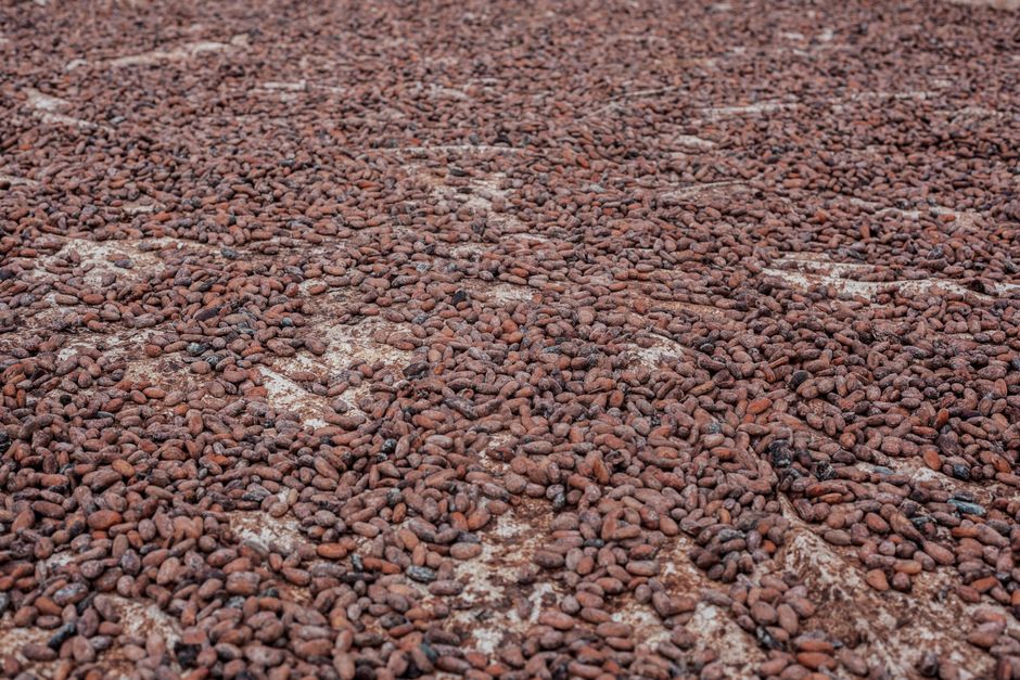 Barry Callebaut: Ein Blick auf die Schokoladenproduktion