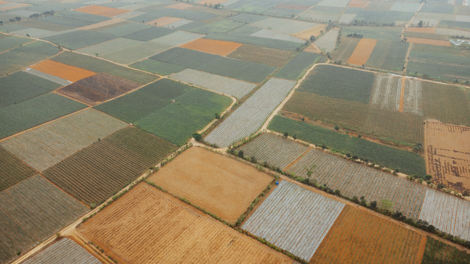 Bayer fordert Zölle auf Glyphosat-Importe