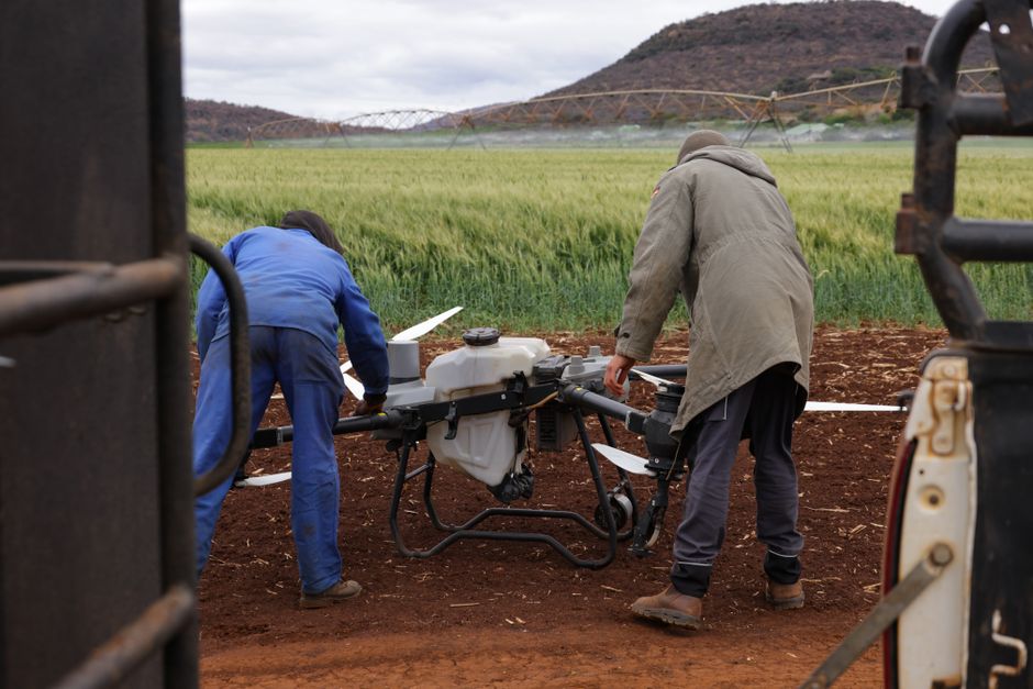 Bayer investiert in Hybridweizen-Technologie