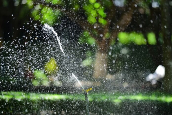 Effizientes Gießen im Sommer