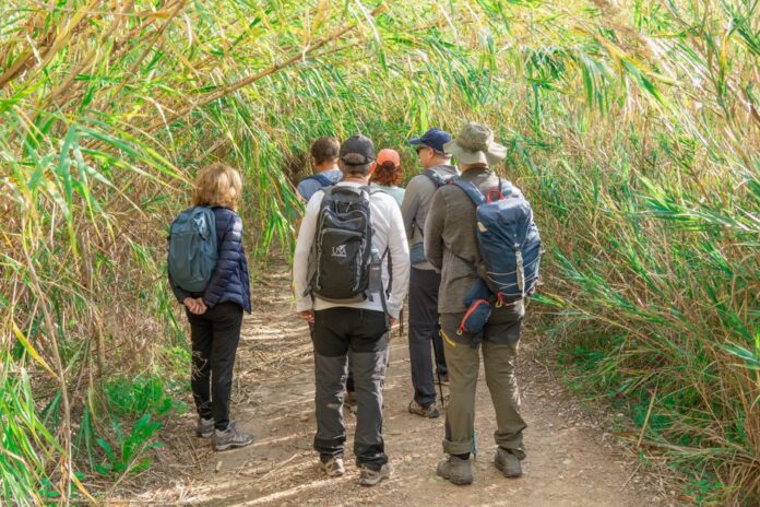 Einzigartige Naturerlebnisse bei Pursuit Attractions