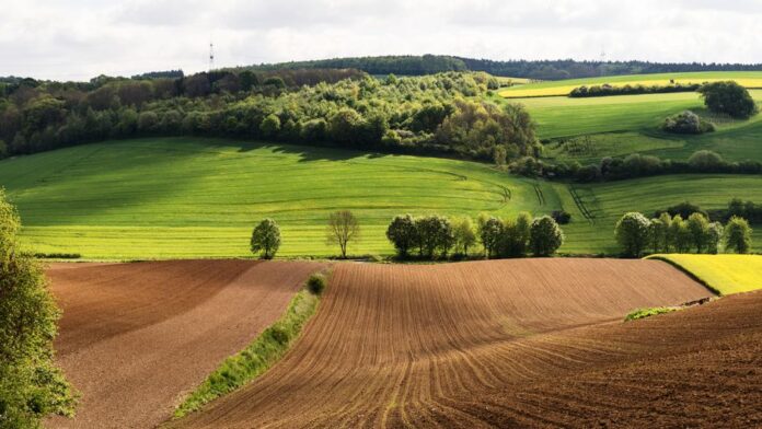 EU-Agrarreform und ihre Auswirkungen auf Ostdeutschland