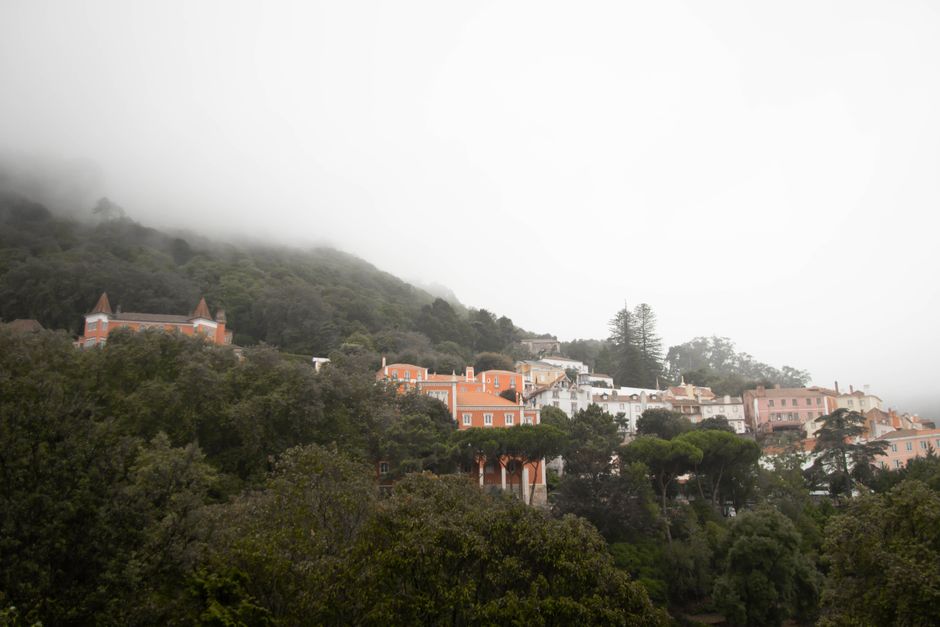 EZB-Forum in Sintra: Geldpolitik im Fokus