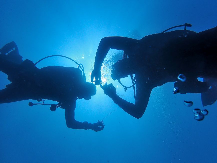 Gabler Group AG: Führend in Unterwassertechnologie
