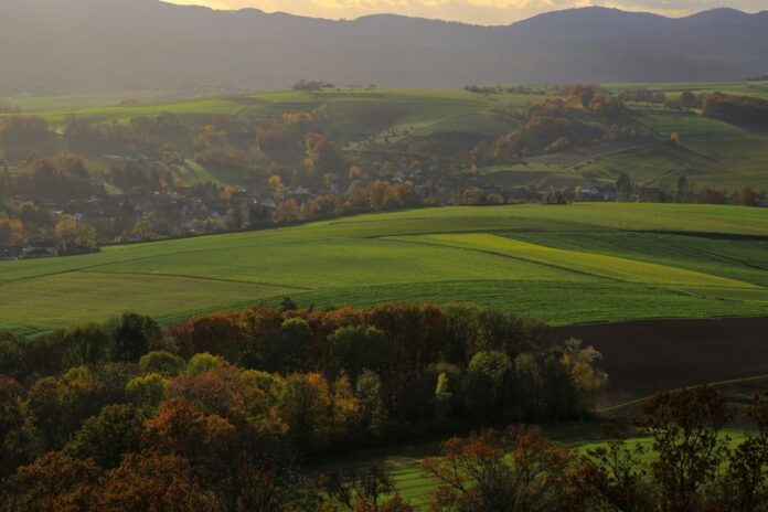 Inflationsrate in Hessen im Juni 2026