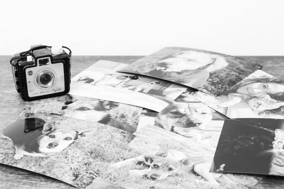 Instax Mini 12: Sofortbildkamera im Einsatz