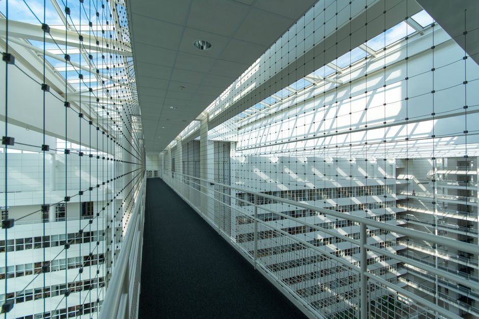 Linde-Aktie und Dividendenzahlung