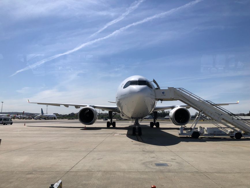 Lufthansa und TAP Air Portugal im Fokus