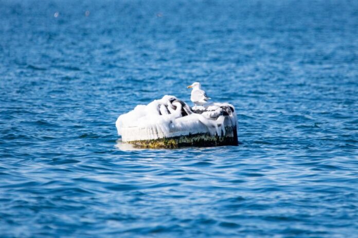 Rekordtemperaturen der Weltmeere 2026