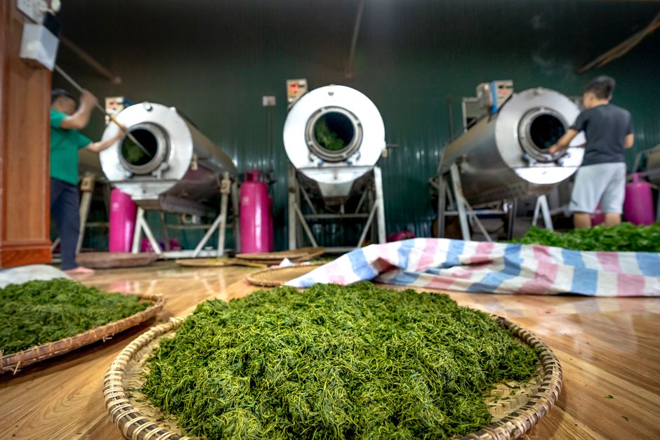 Sipef SA: Palmöl und Agroindustrie