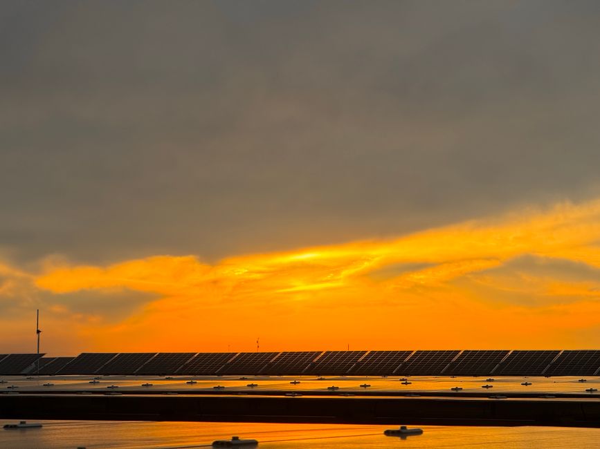 Solar-Boom in Deutschland: Erneuerbare Energien im Fokus