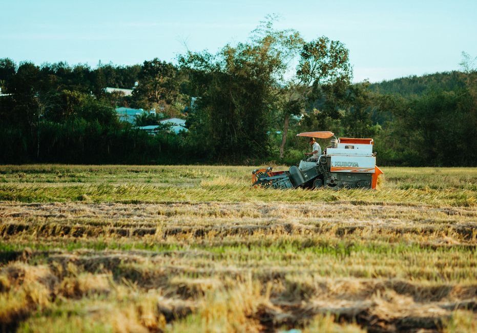 Steuern in der Landwirtschaft: Aktuelle Trends