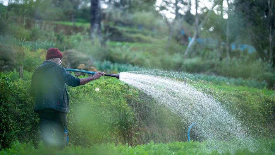 Tipps zum Wassersparen für nachhaltige Nutzung