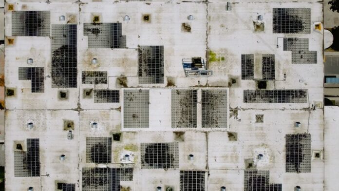 Unternehmen investieren in erneuerbare Energien