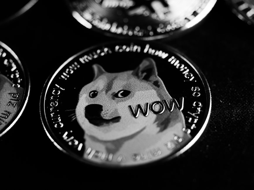 Verluste bei SHIBA INU-Investitionen