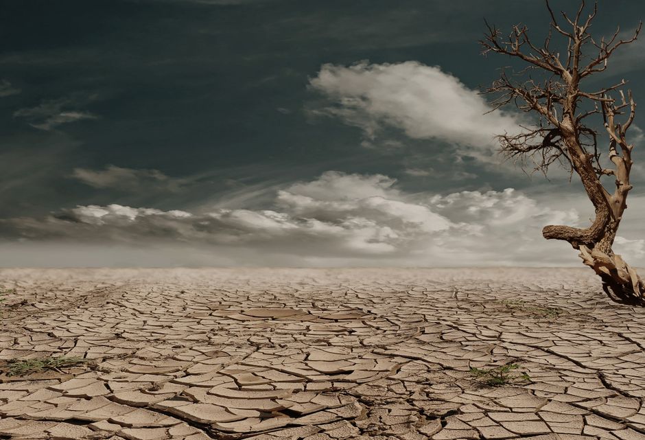 Wirtschaftliche Auswirkungen der Klimakrise