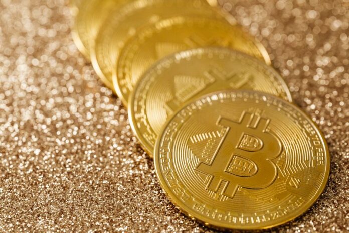 Bitcoin und Künstliche Intelligenz im Fokus
