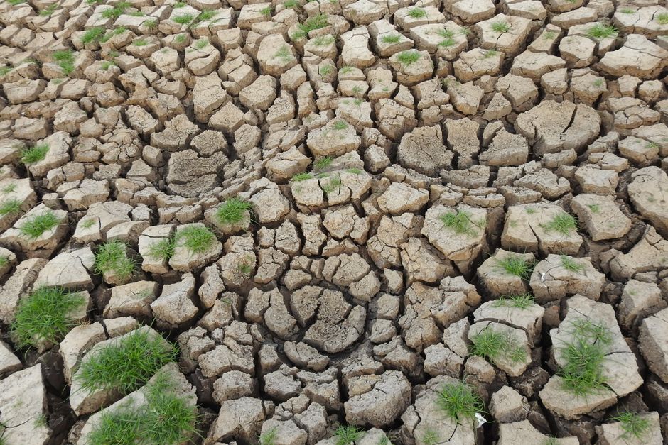 Bundesregierung diskutiert Klimafolgen